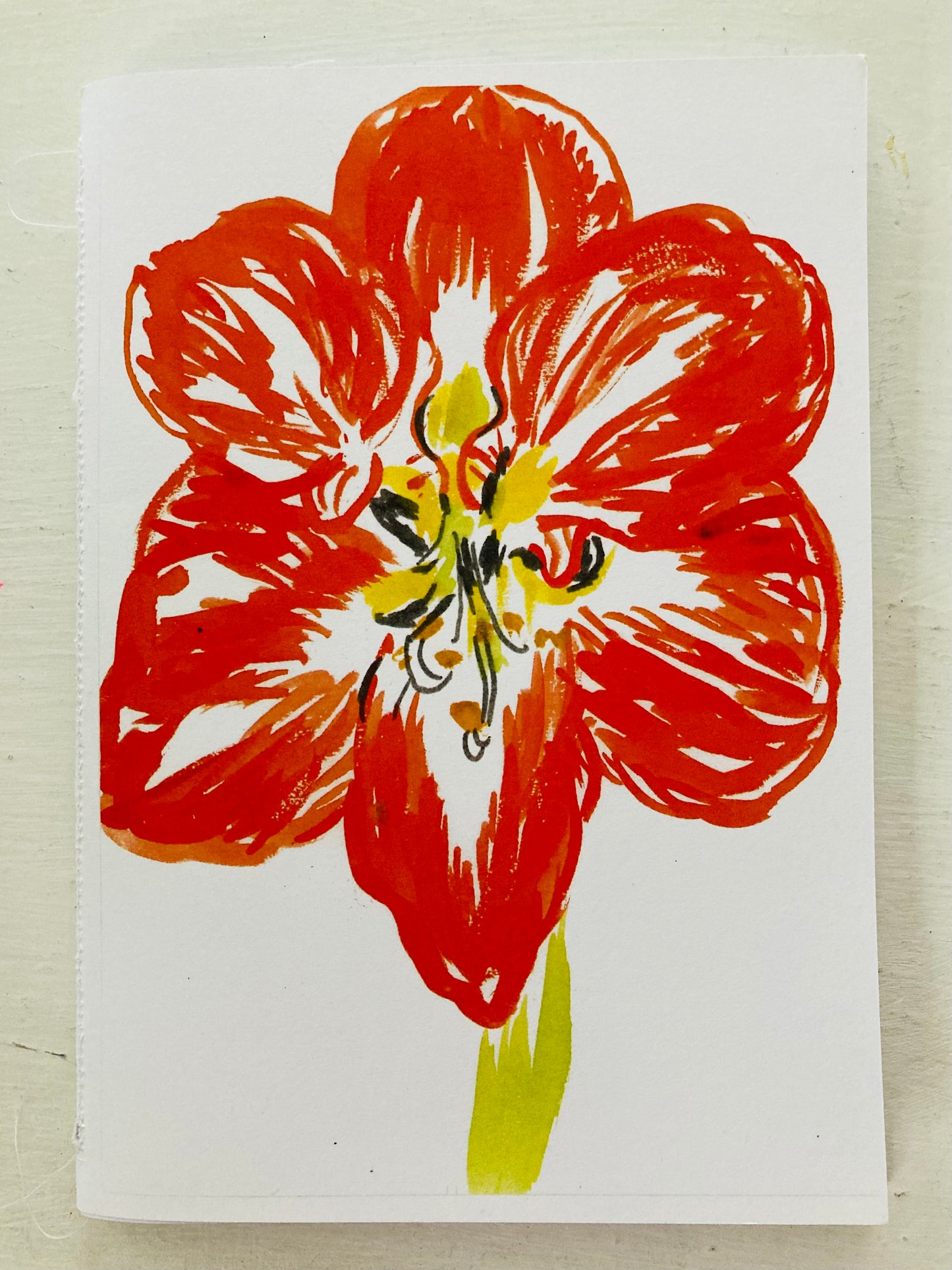 Skissbok/Sketches book "Amaryllis"